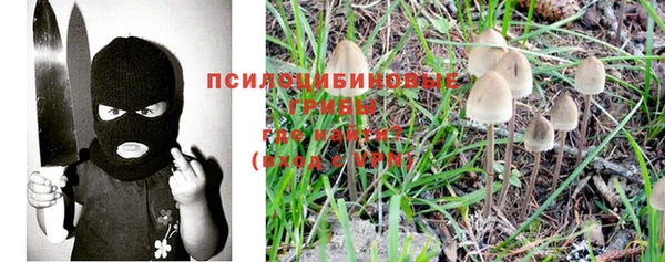 дмт Балабаново