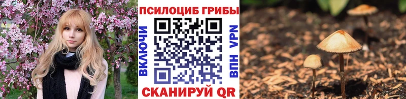 Псилоцибиновые грибы прущие грибы  магазин продажи наркотиков  Олёкминск 