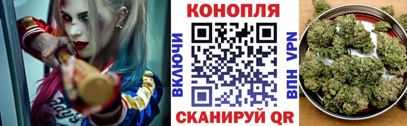 OMG маркетплейс  Олёкминск  Марихуана сатива 